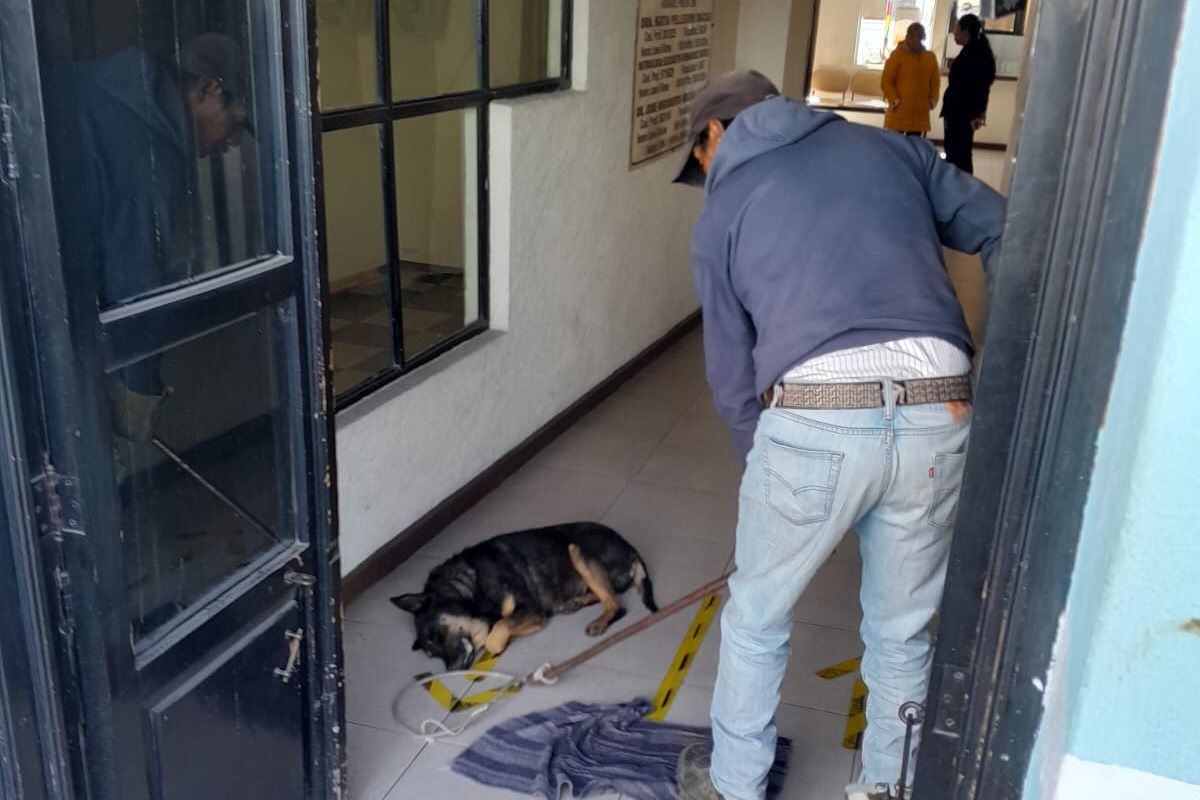 Unidad Canina de Huamantla brinda apoyo en el traslado de un animal enfermo